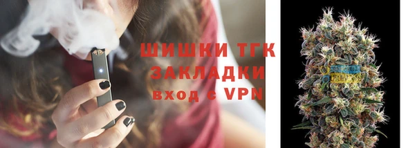 СК Дмитровск