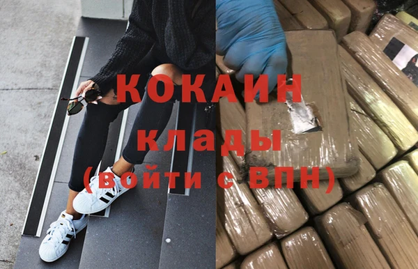 СК Дмитровск