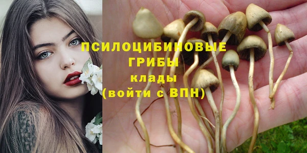 марихуана Дмитриев